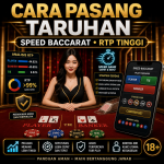 capital303